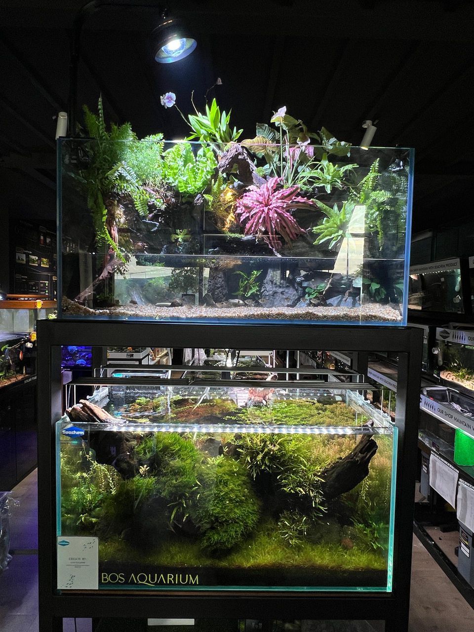 Custom Aquarium_1