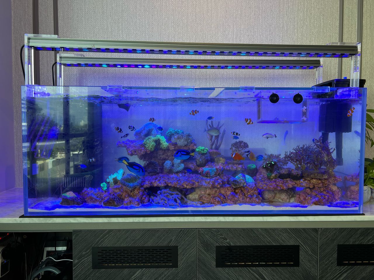 Custom Aquarium_3