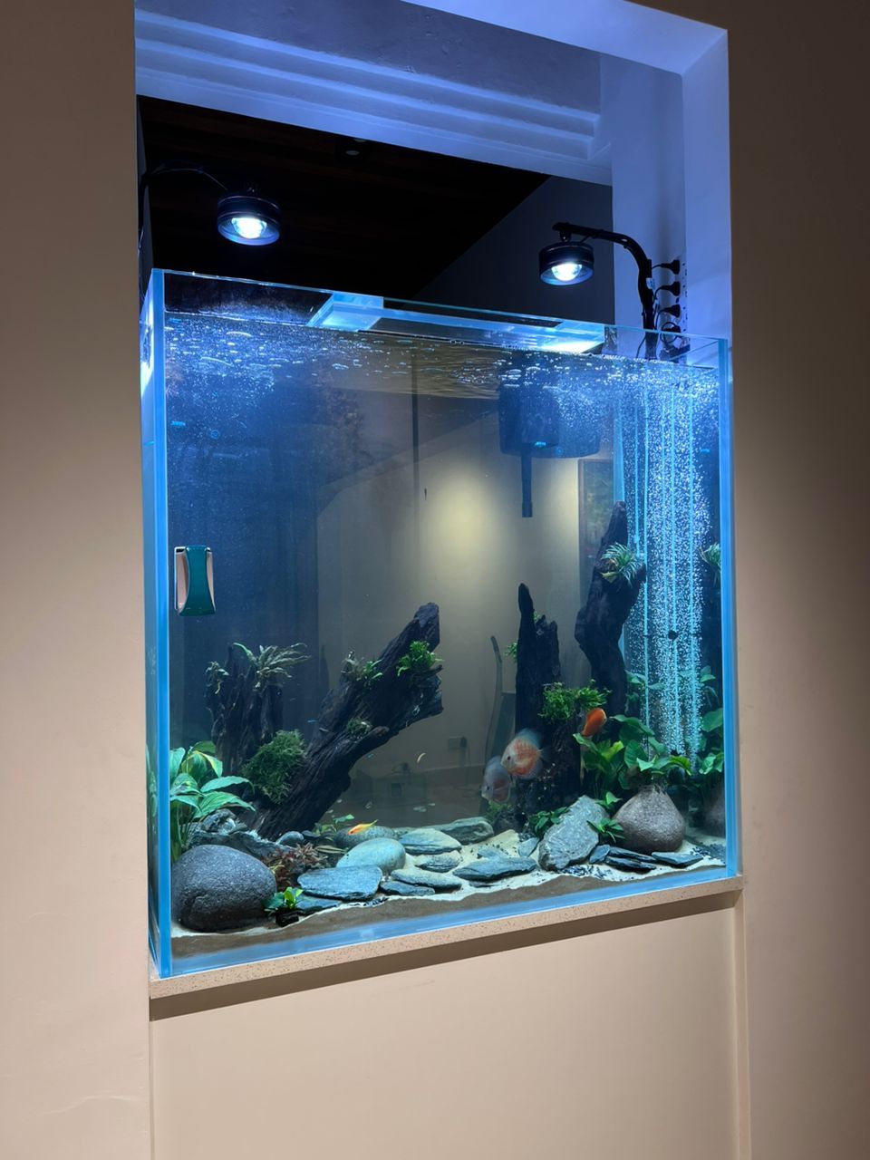 Custom Aquarium_5