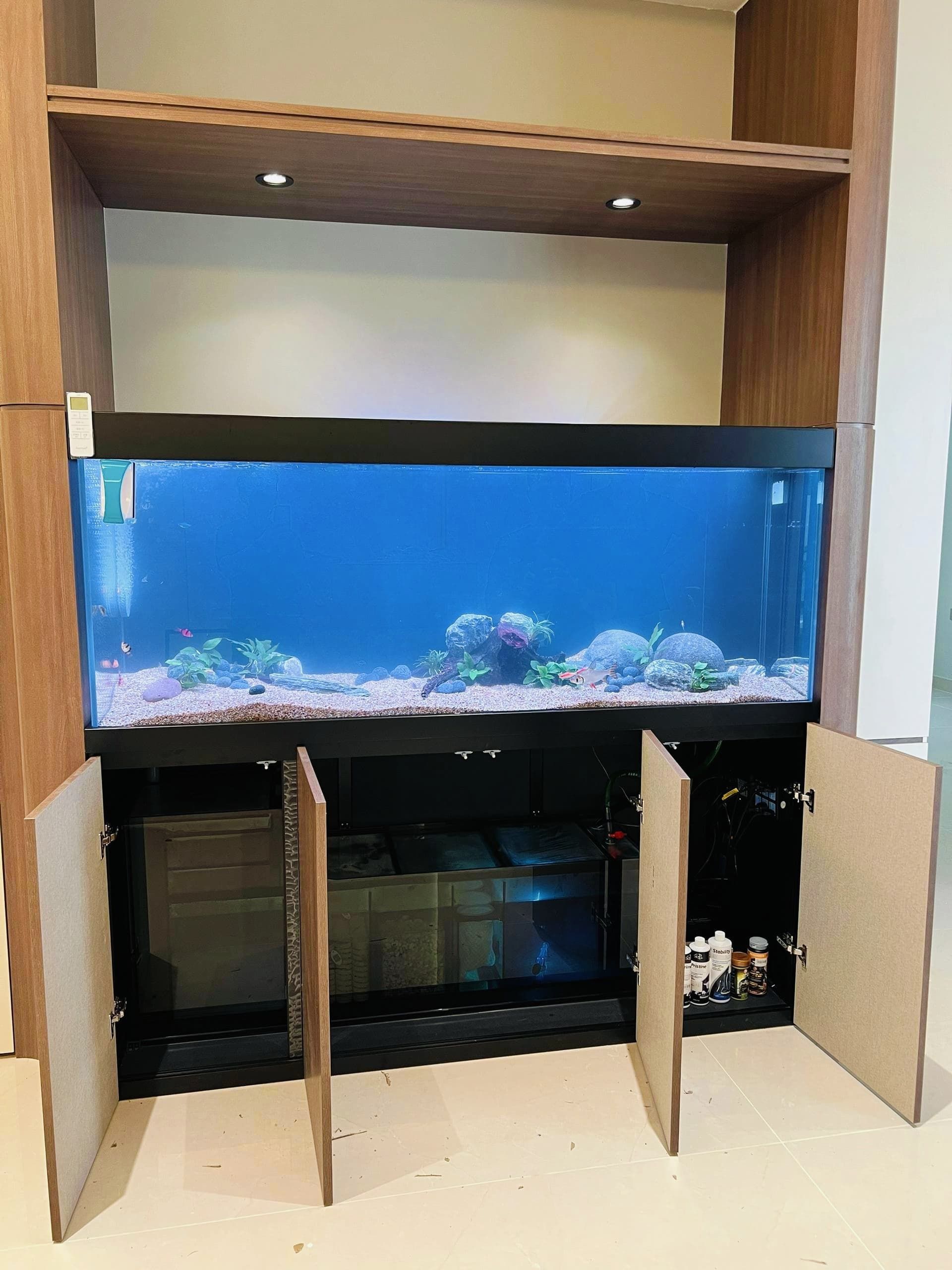 Custom Aquarium_7