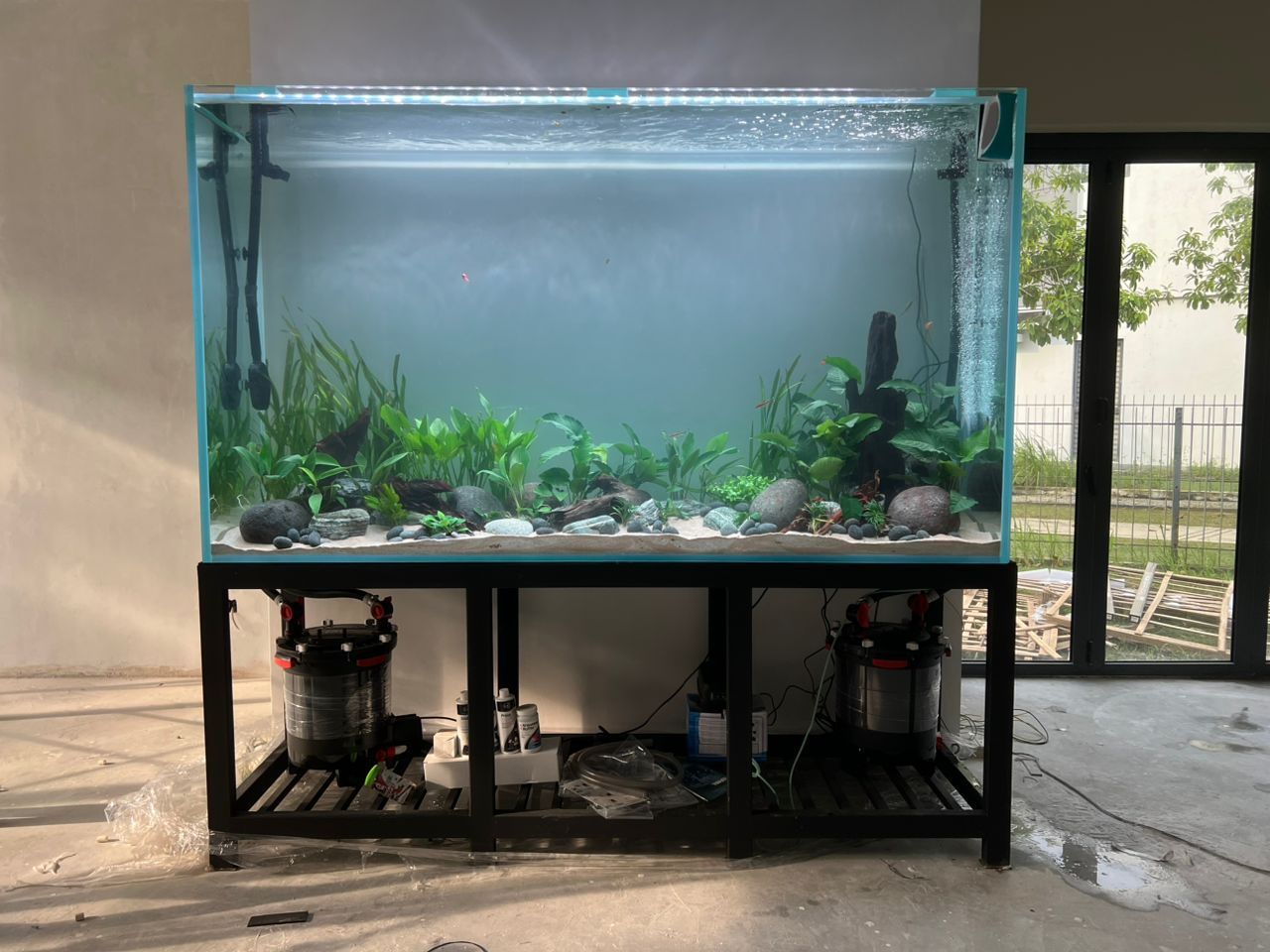 Custom Aquarium_9