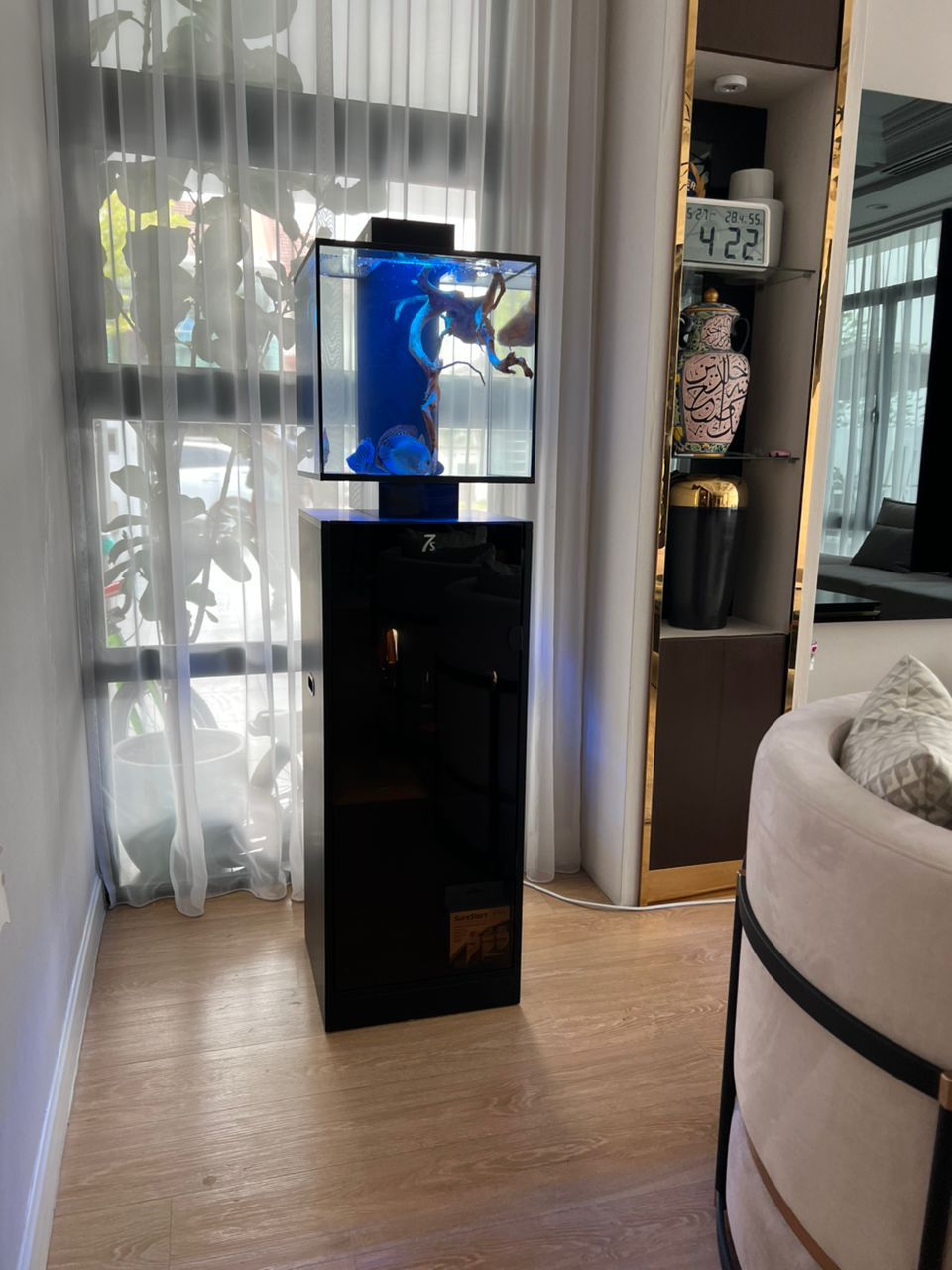 Aquarium Aquascape_0
