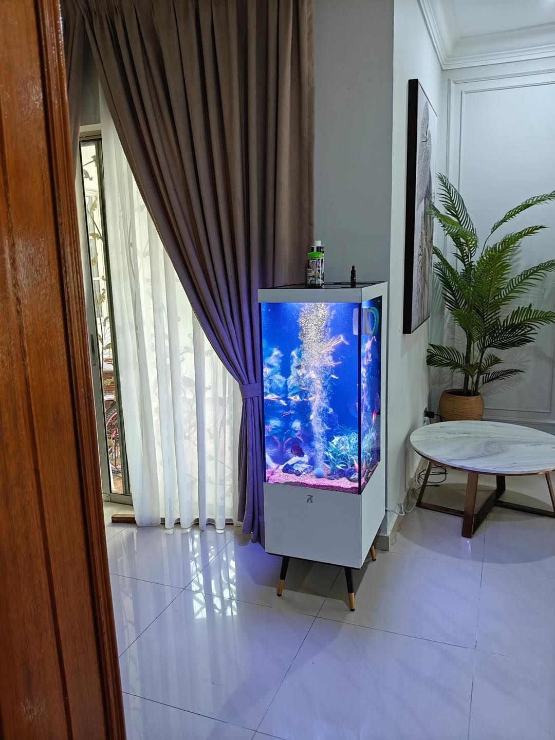 Aquarium Aquascape_1