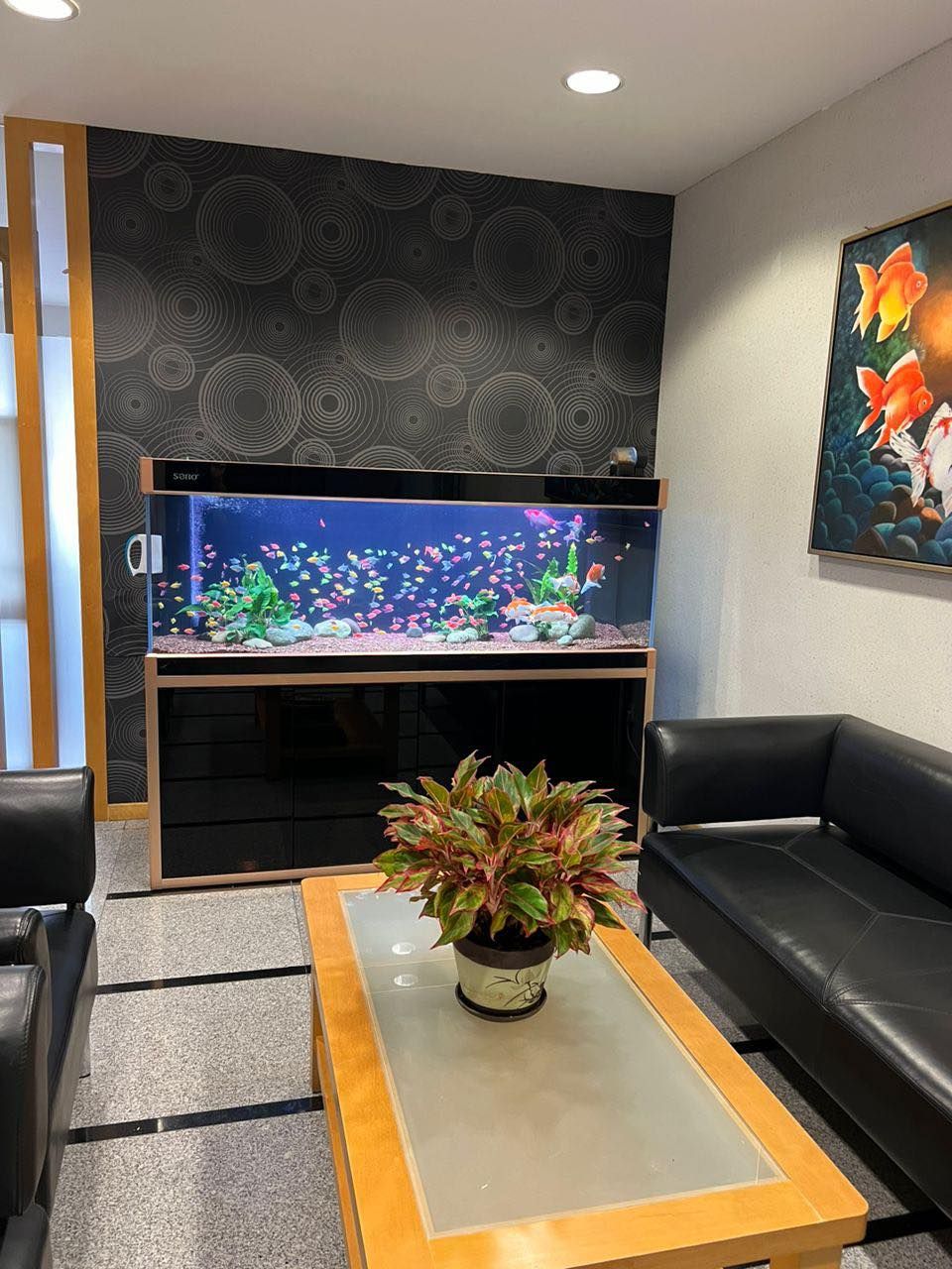 Aquarium Aquascape_2