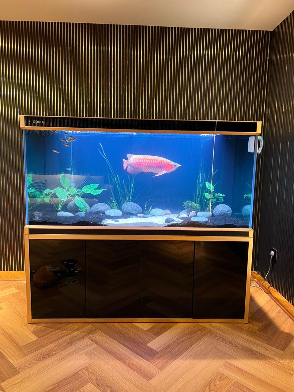 Aquarium Aquascape_3