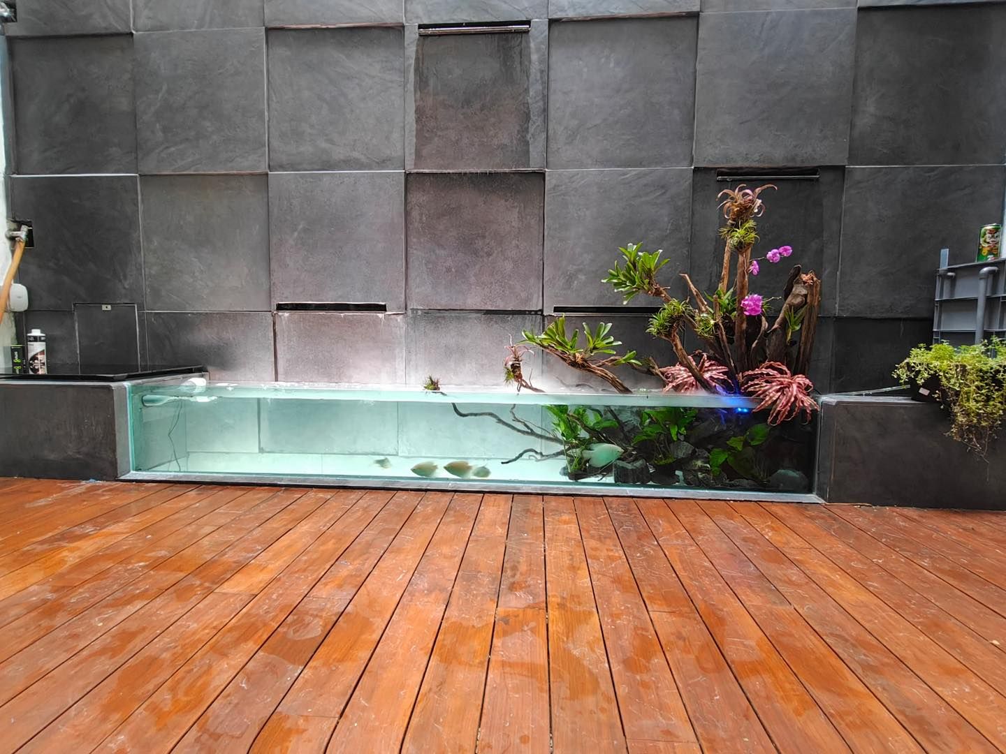 Aquarium Aquascape_8