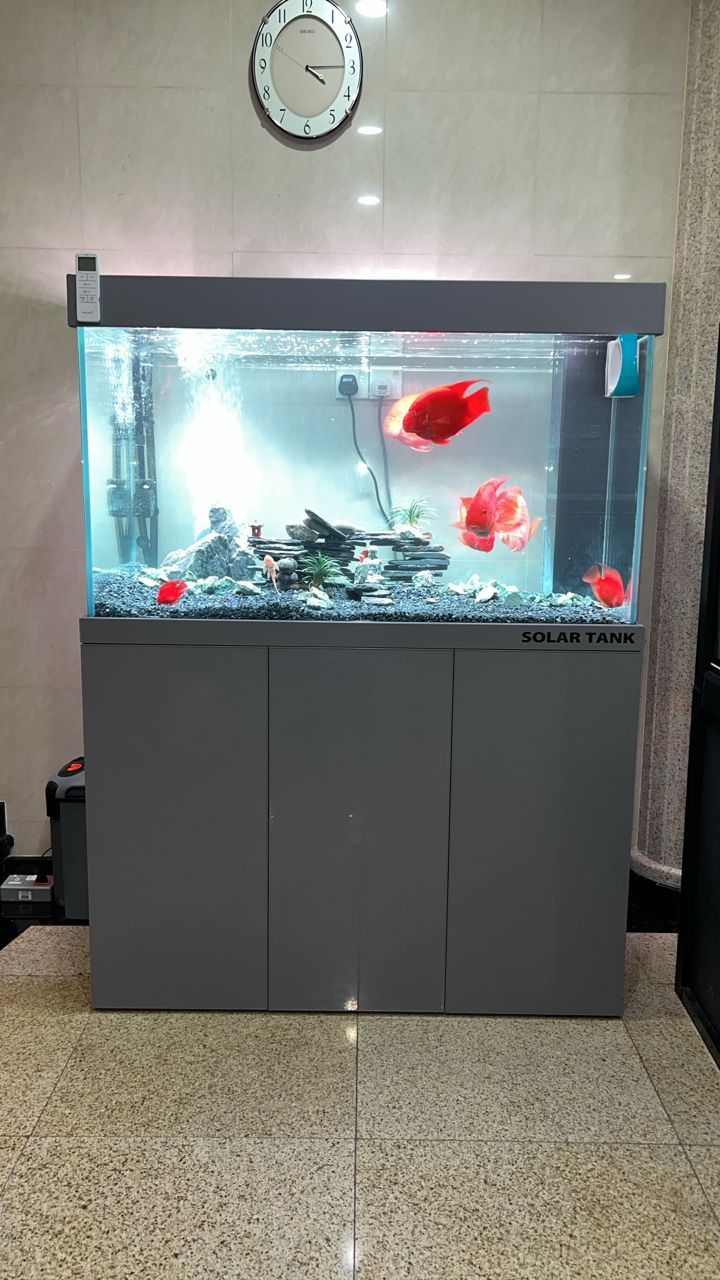 Aquarium Aquascape_12