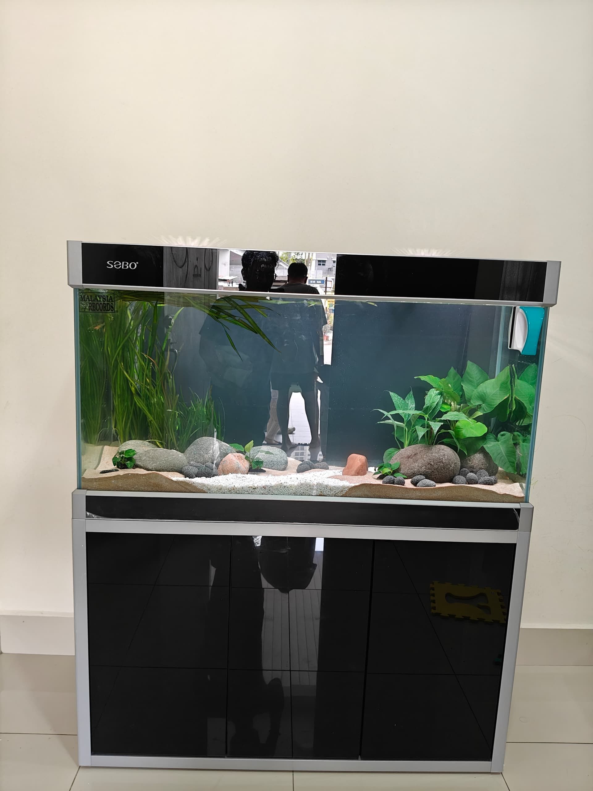 Aquarium Aquascape_10