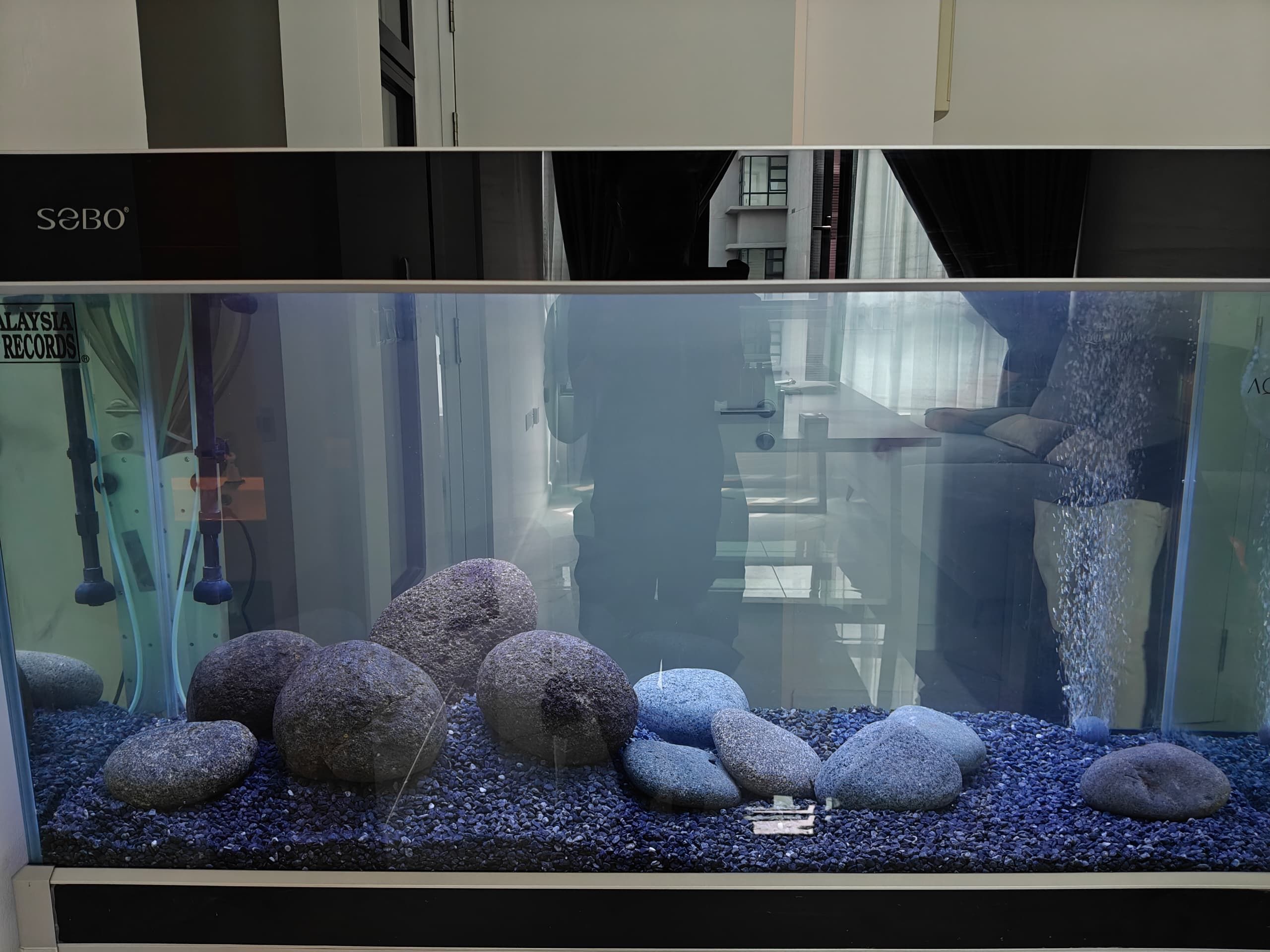 Aquarium Aquascape_15