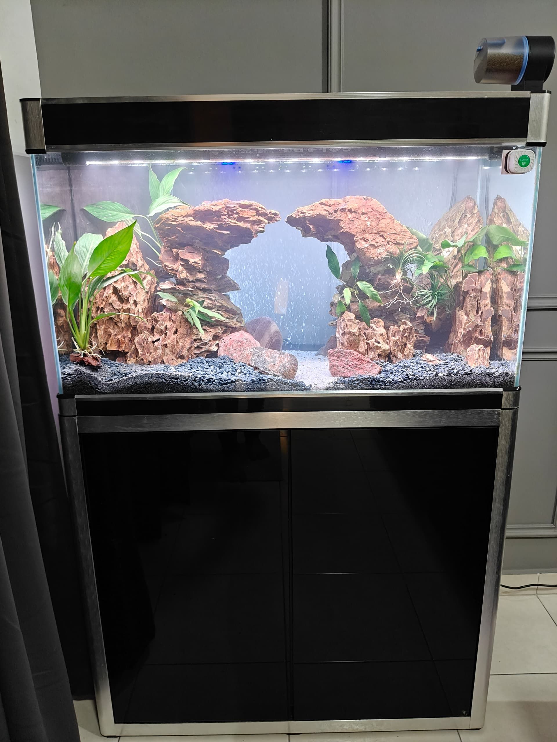 Aquarium Aquascape_16