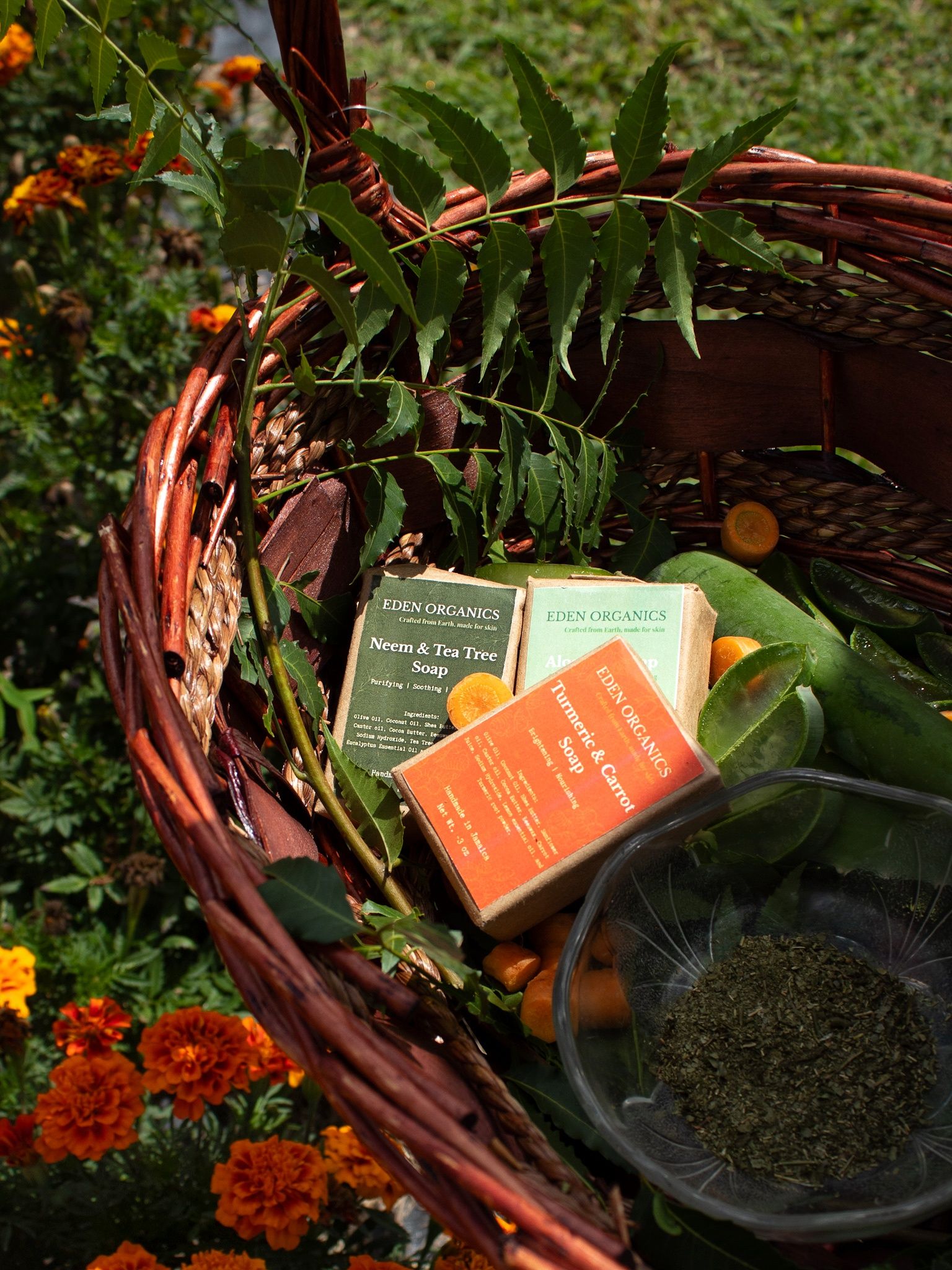 From Earth to Lather_2