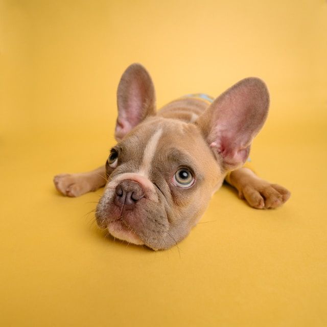 Test_0