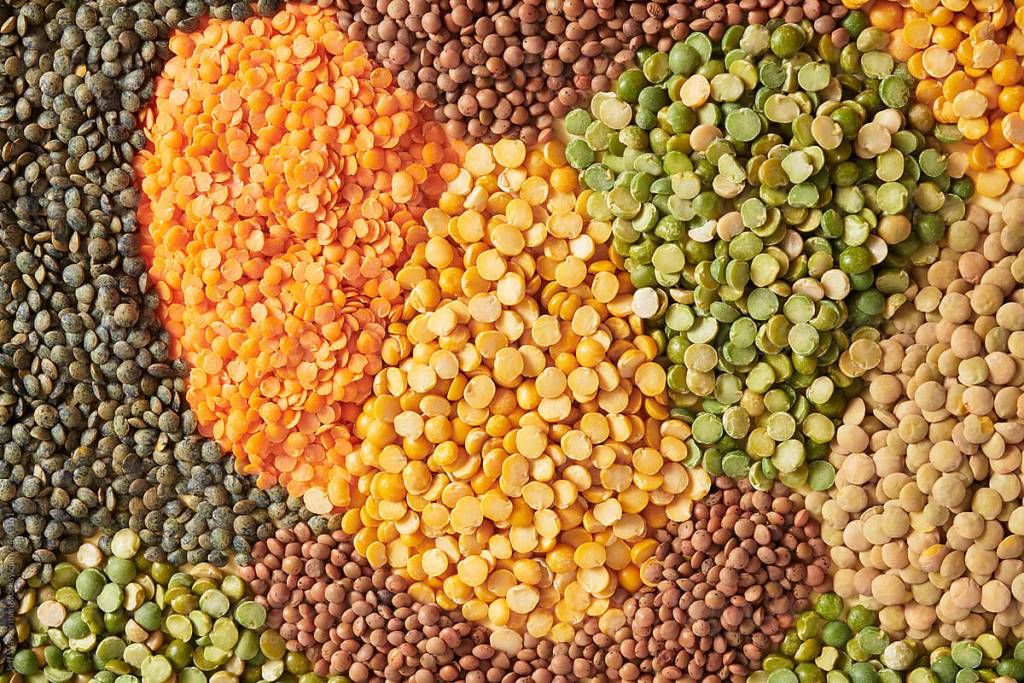 GRANIS, LENTILS AND MORE