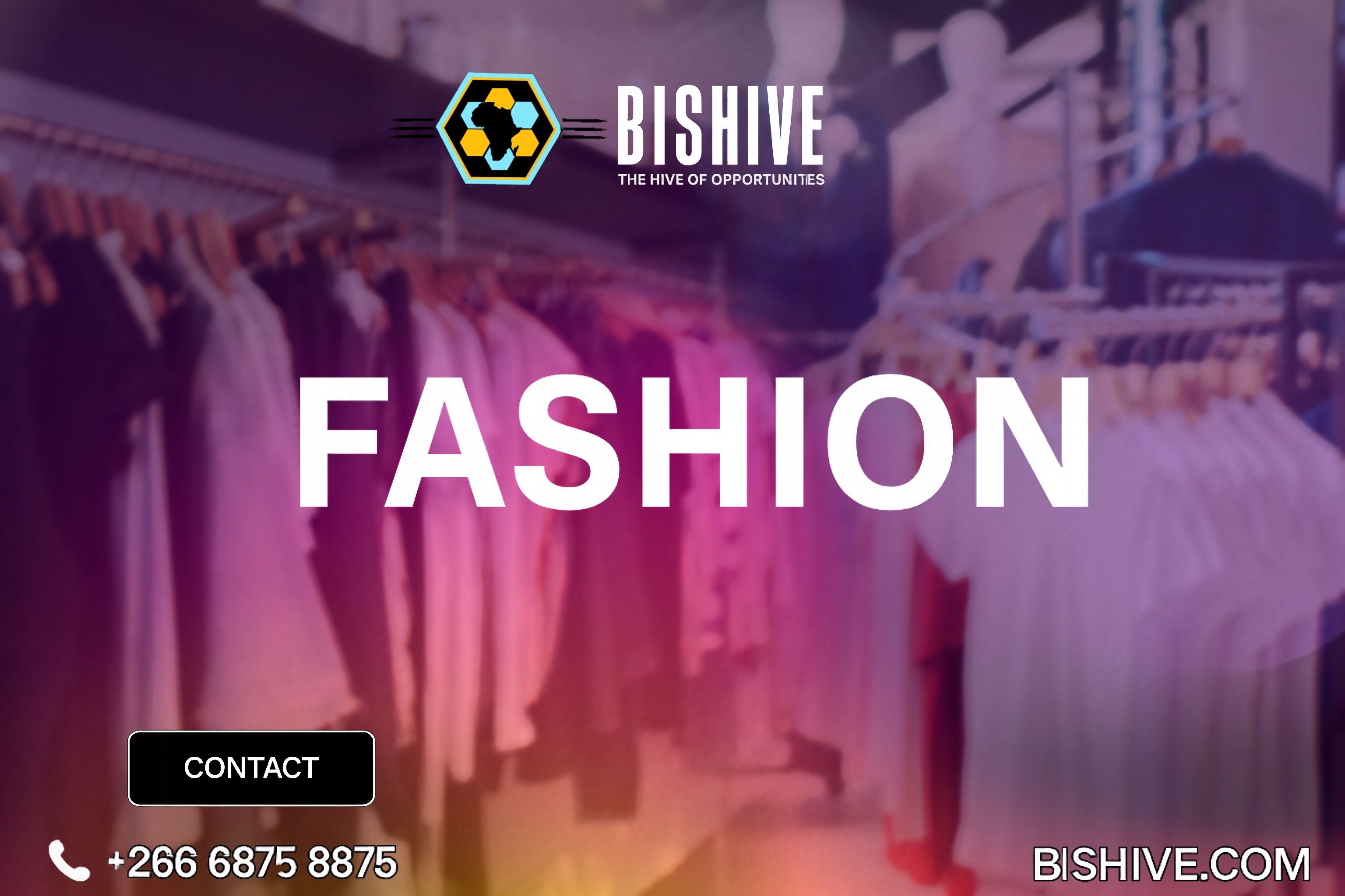 Fashion & Accessories