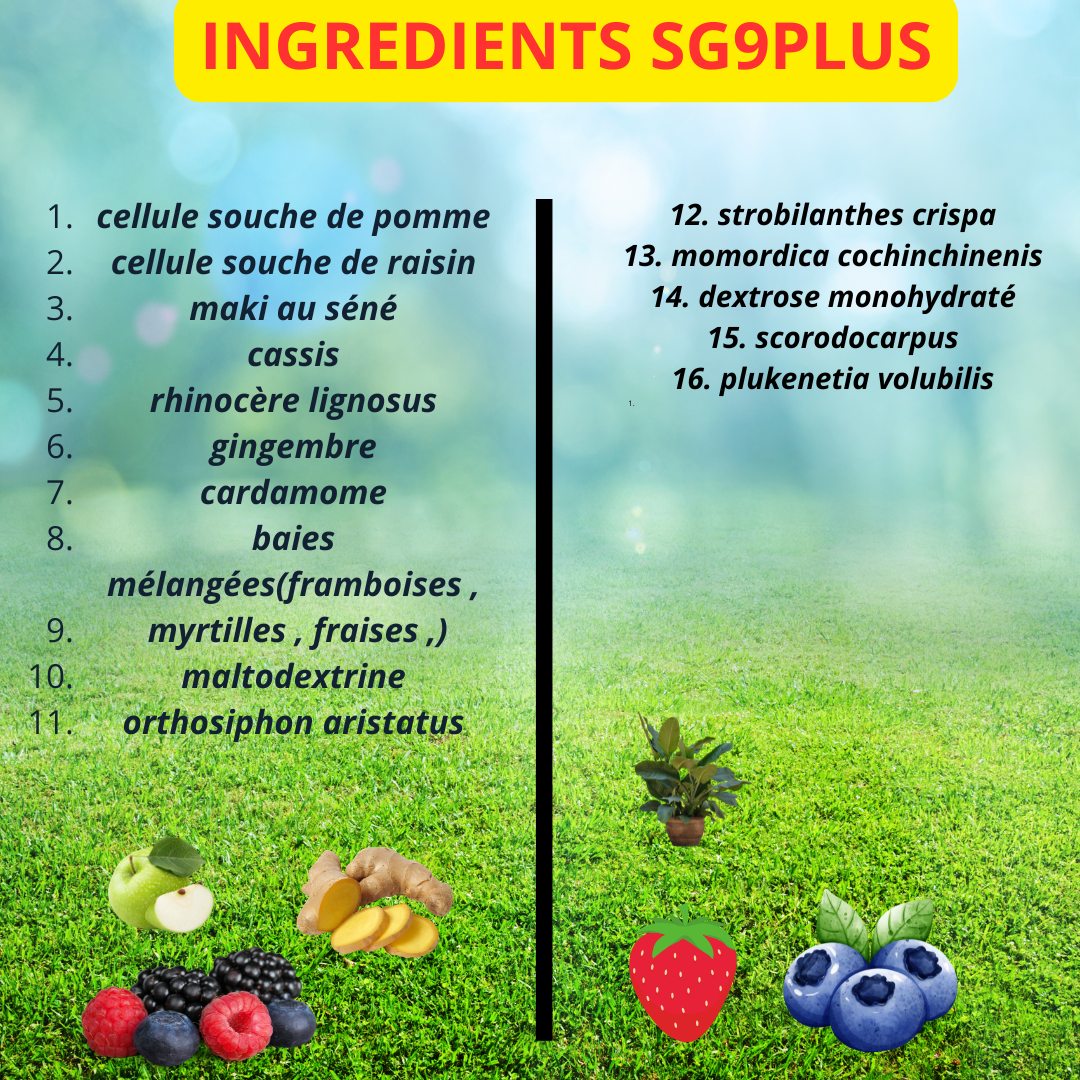 Ingrédients SG9PLUS , café SG, crème SG _0