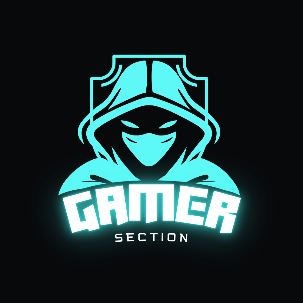 Gamer Section