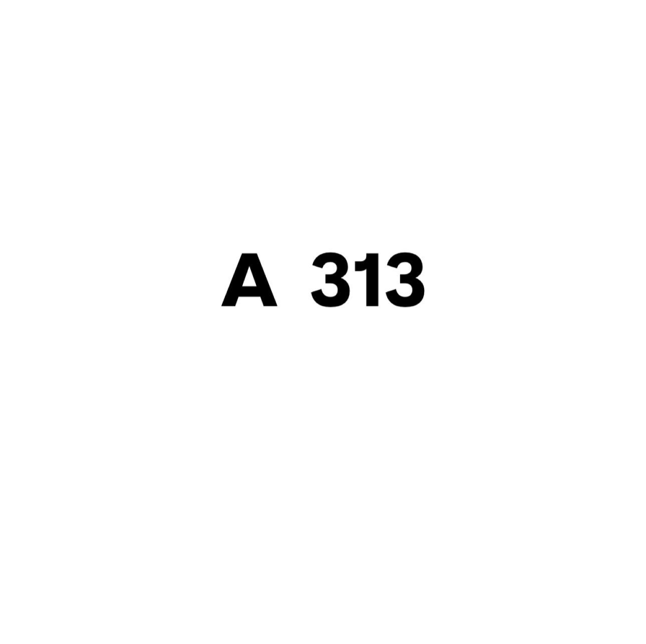 A313