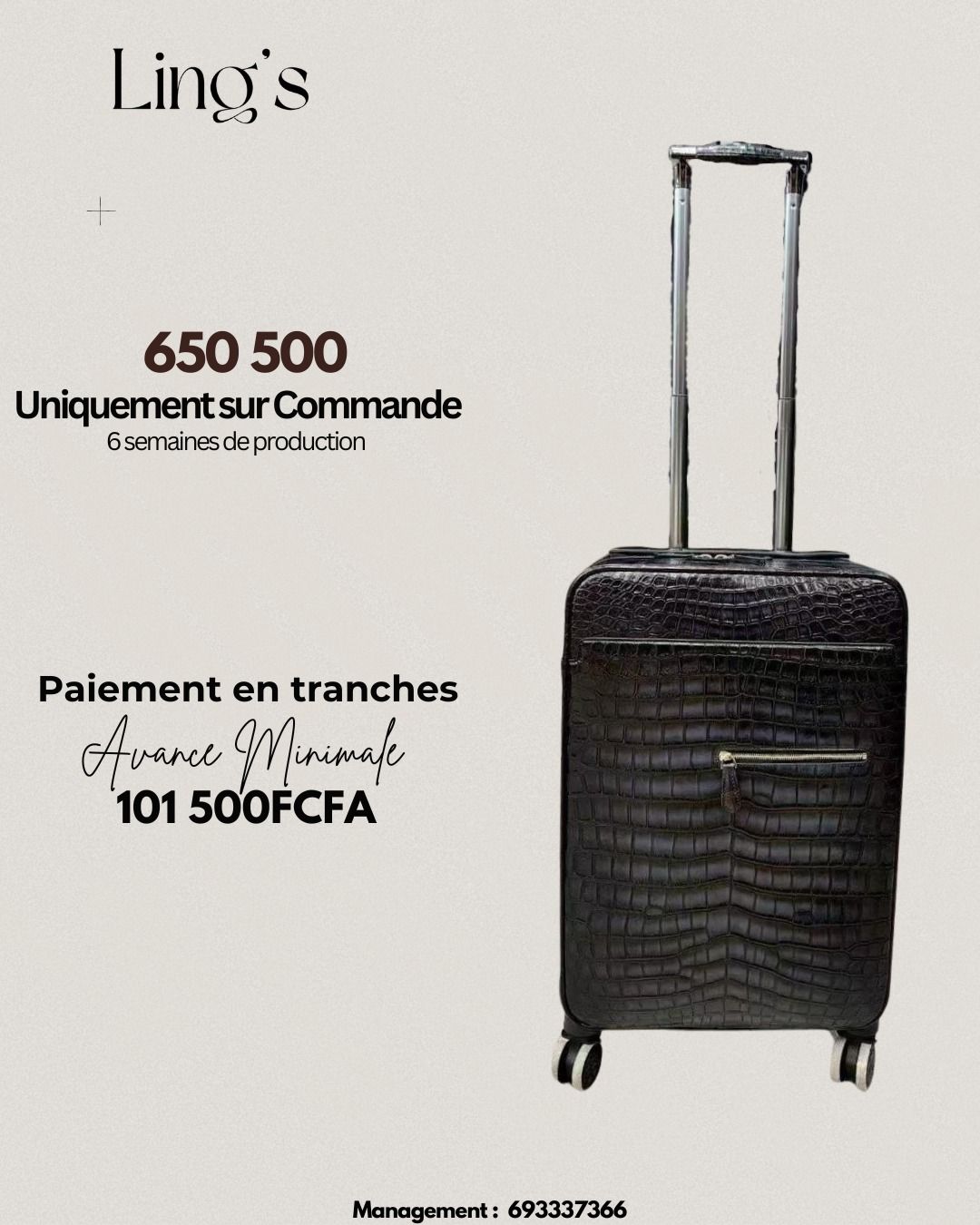 Nos Trolleys en cuir véritable haut de gamme_3