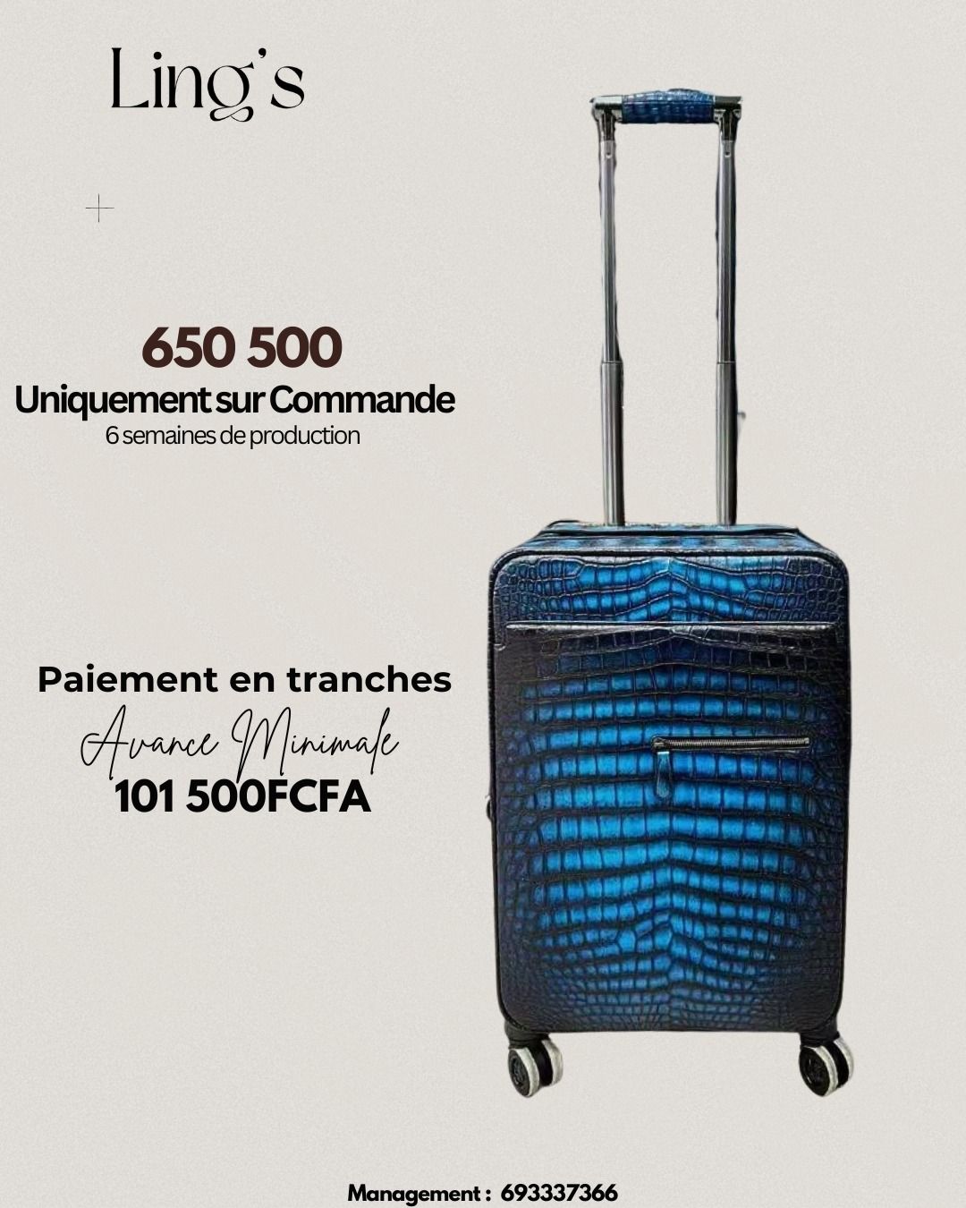 Nos Trolleys en cuir véritable haut de gamme_4