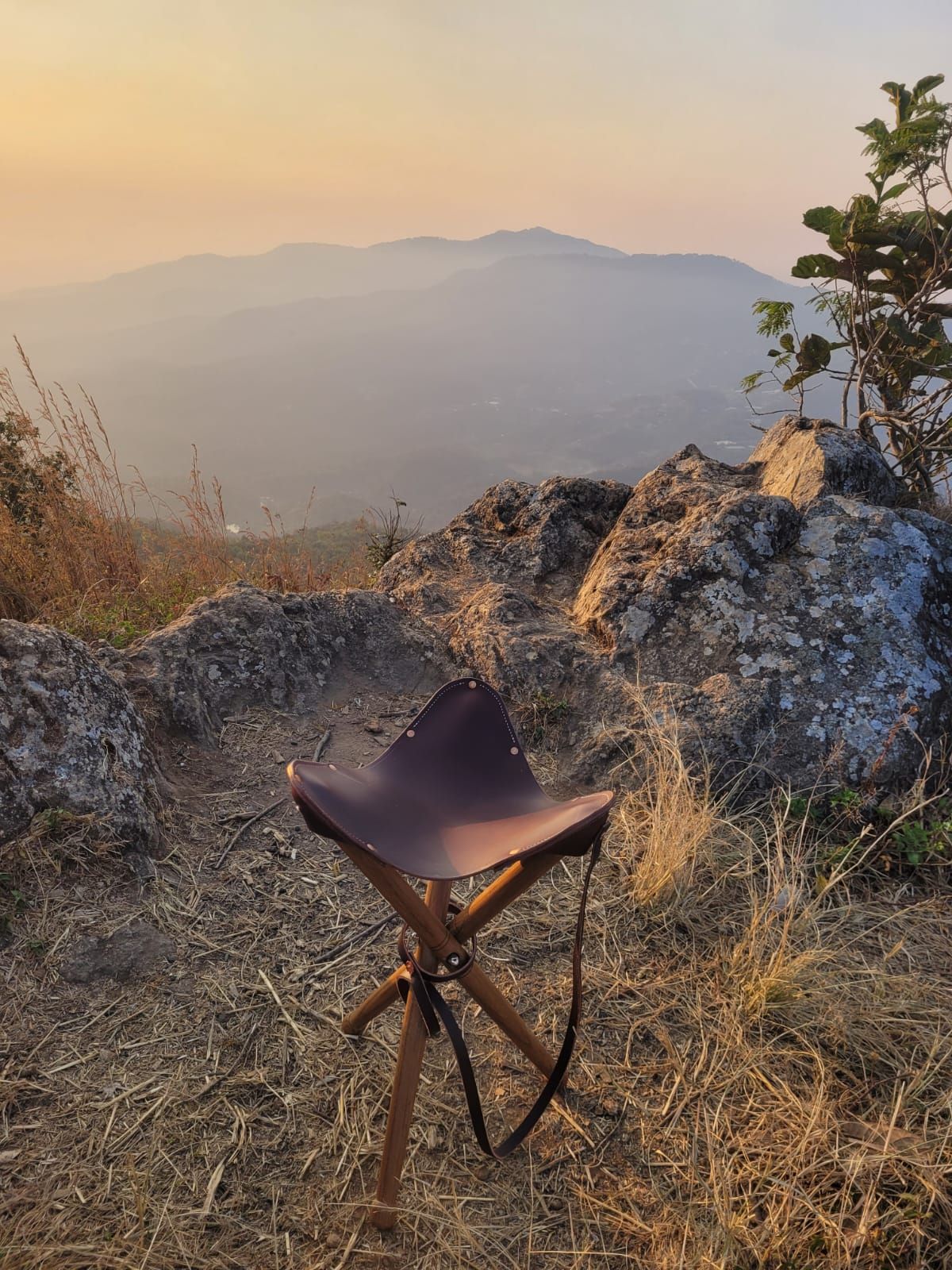 What is Project Arc?_0