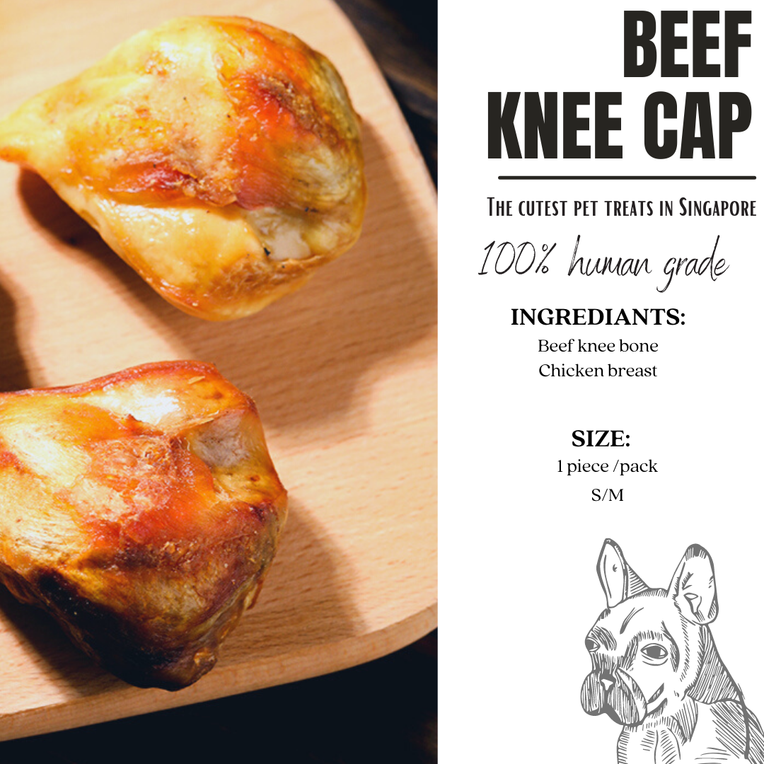 Beef knee Cap🐱🐶