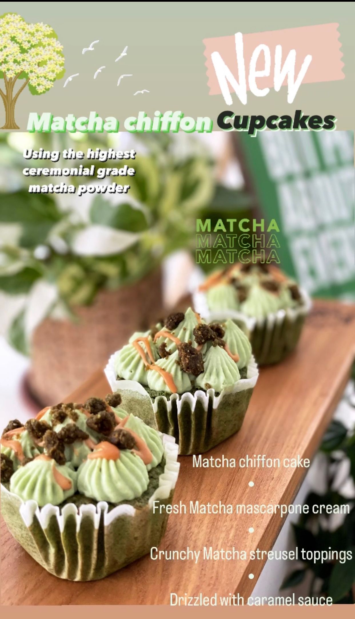 Matcha Chiffon Cupcakes with streusel topping 6pcs