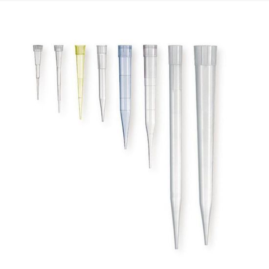 PIPETTE TIP WITHOUT FILTER, NON-STERILE (1000 PCS/PACK)