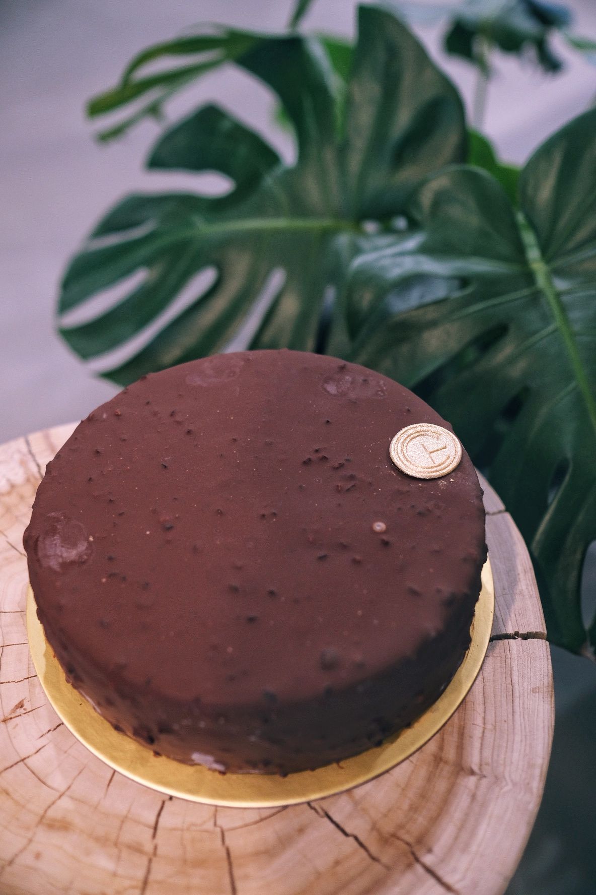 Dark Chocolate IC Cake