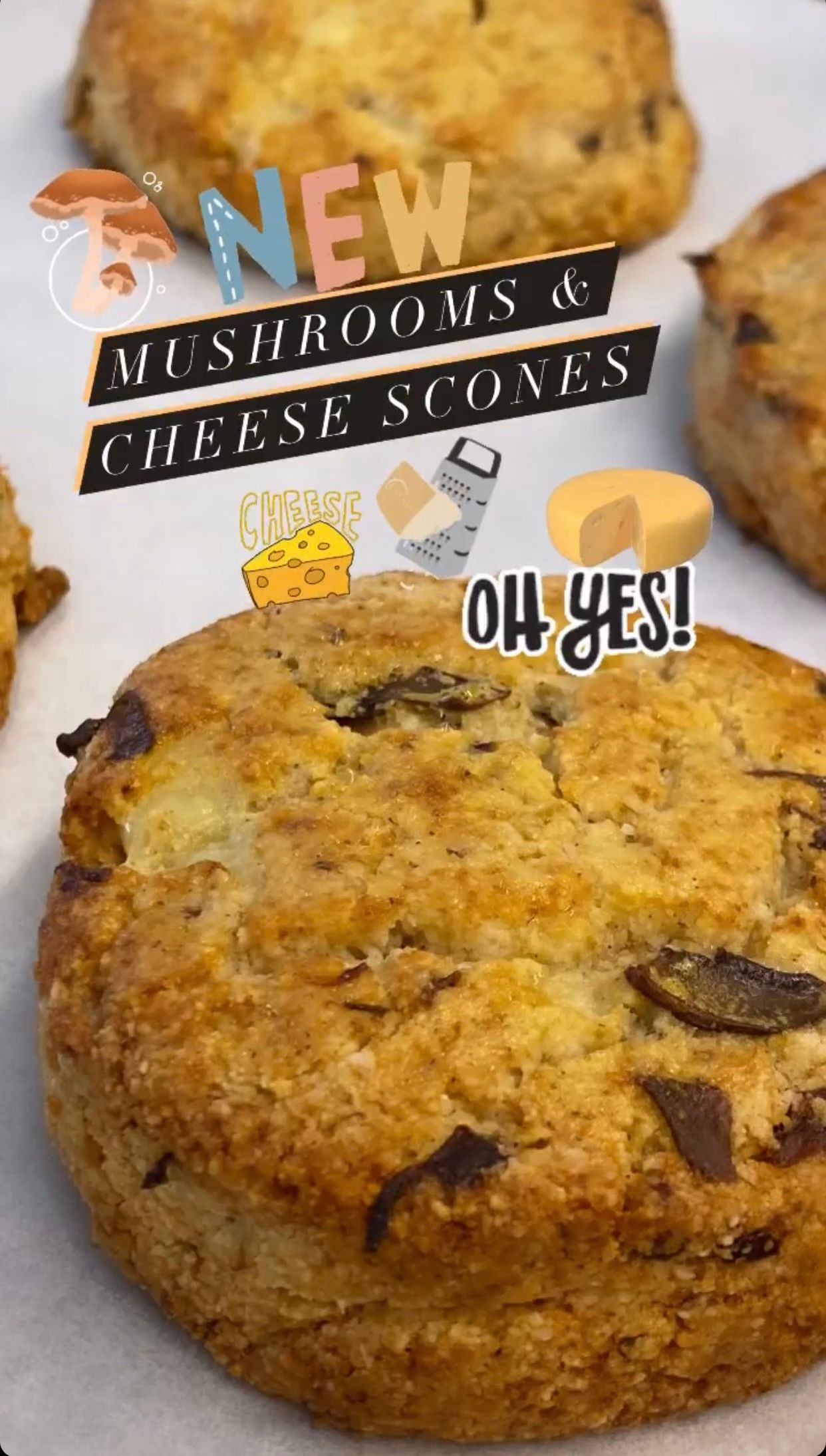 Mushroom & Cheese Scones 6pcs