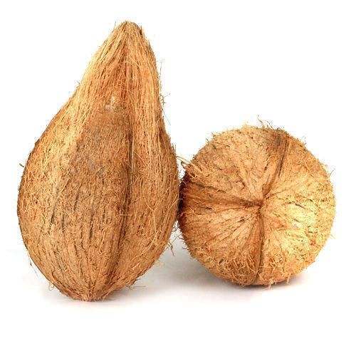 Coconut