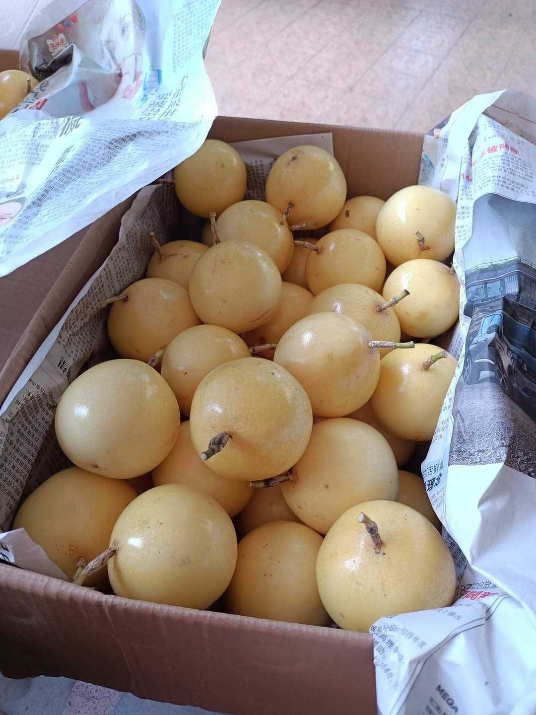 Grade B 1kg (12 to 15 fruits)