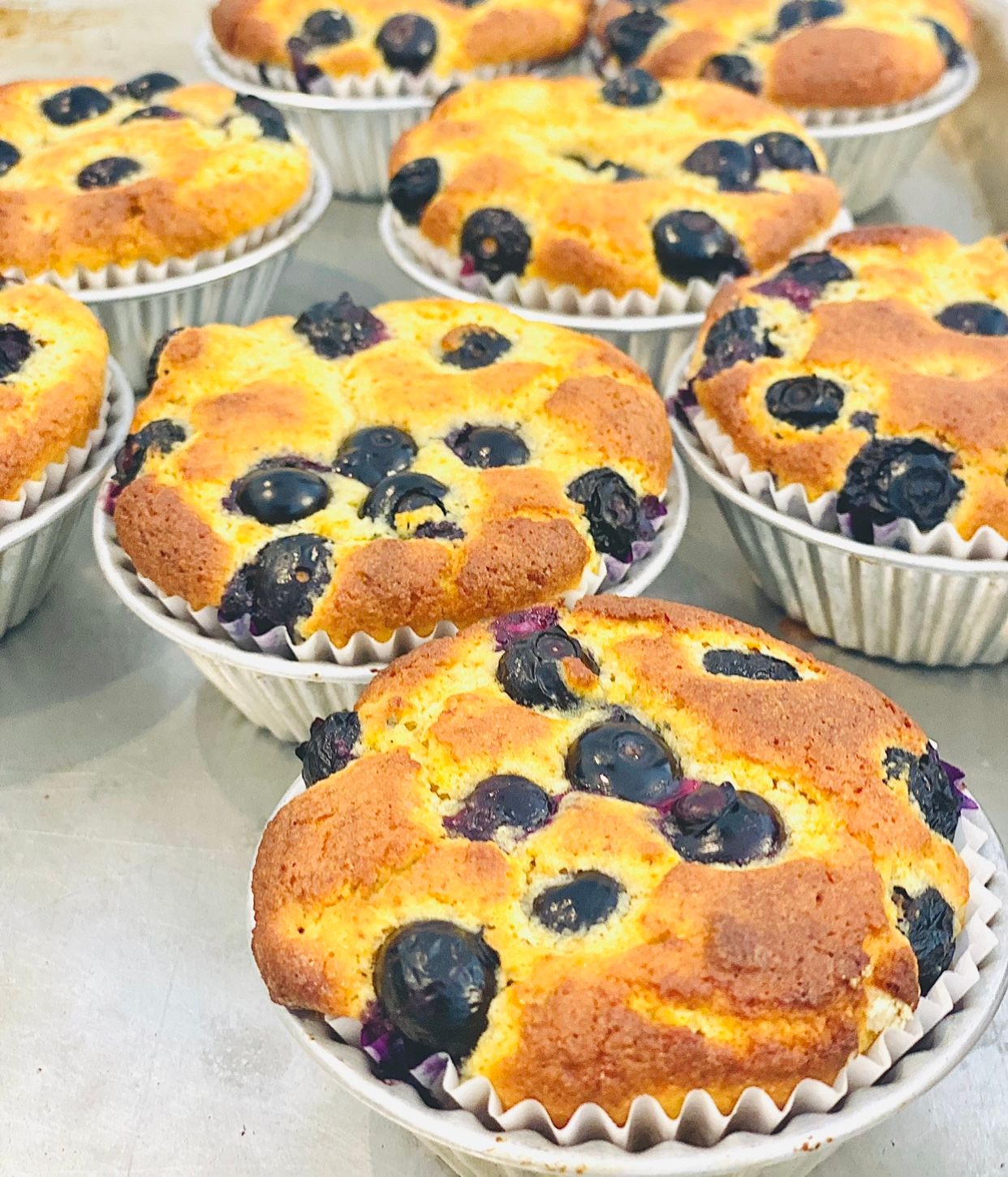 Blueberry 🫐 Muffins 6pcs