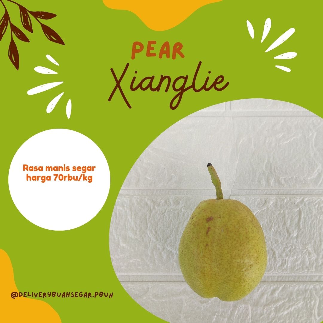 Pear Xianglie 1kg