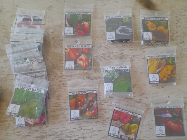 WhatsApp Image 2025-08-31 at 10.38.33.jpeg