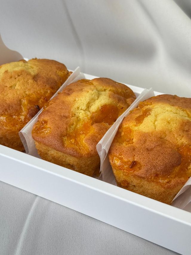 WhatsApp Image 2026-01-28 at 11.05.20 AM (1).jpeg